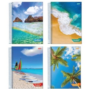 CADERNO UNIVERSITÁRIO 10 MATÉRIAS CAPA DURA 200 FOLHAS BRASILIDADE