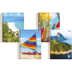 CADERNO UNIVERSITÁRIO 10 MATÉRIAS CAPA DURA 200 FOLHAS BRASILIDADE