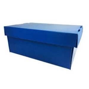 caixa organizadora mini