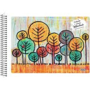 CADERNO DE DESENHO/CARTOGRAFIA MILIMETRADO 48 FOLHAS CAPA MOLE