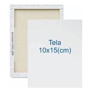 TELA PARA PINTURA 10X15